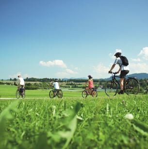 westallgaeu radfahren wiese 305x309 1