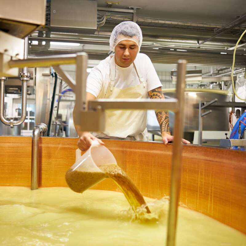 kaeskueche isny produktion bockshornklee web