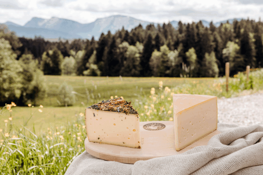 scheidegg käsestrasse 2025 05 16 fs25 0099 web