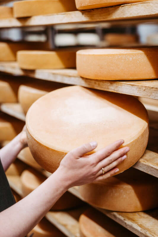 scheidegg käsestrasse 2025 05 16 fs25 0025